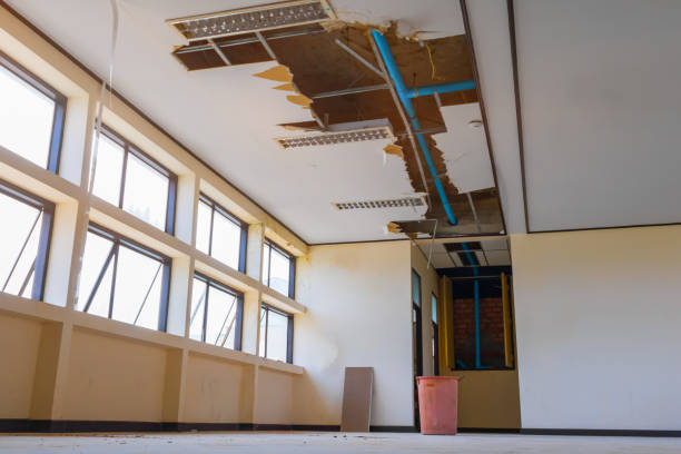 Best Fire Damage Restoration  in South Plainfield, NJ