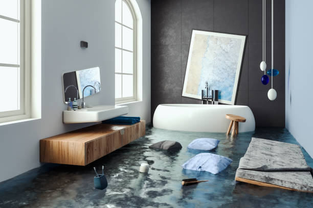 Best Water damage contractors near me  in South Plainfield, NJ