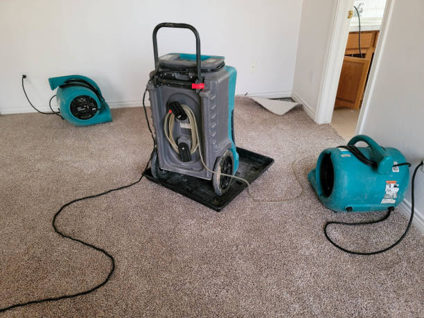 Best 24/7 water damage repair  in South Plainfield, NJ