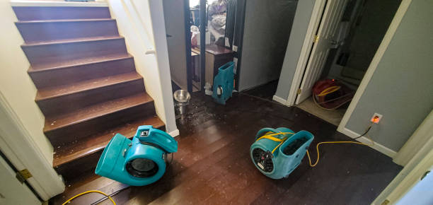 Best Flood damage cleanup  in South Plainfield, NJ