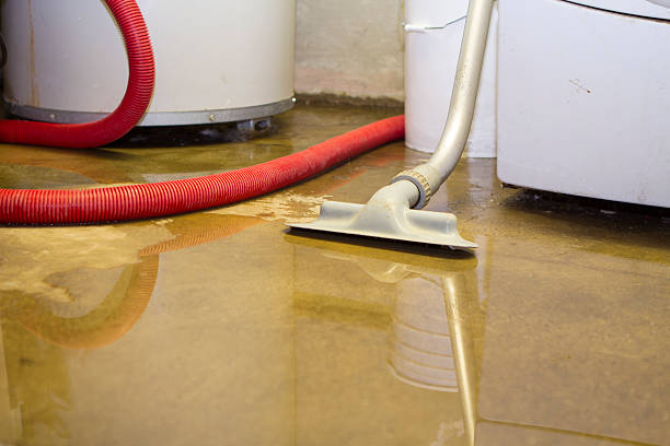 Best Flood damage cleanup  in South Plainfield, NJ