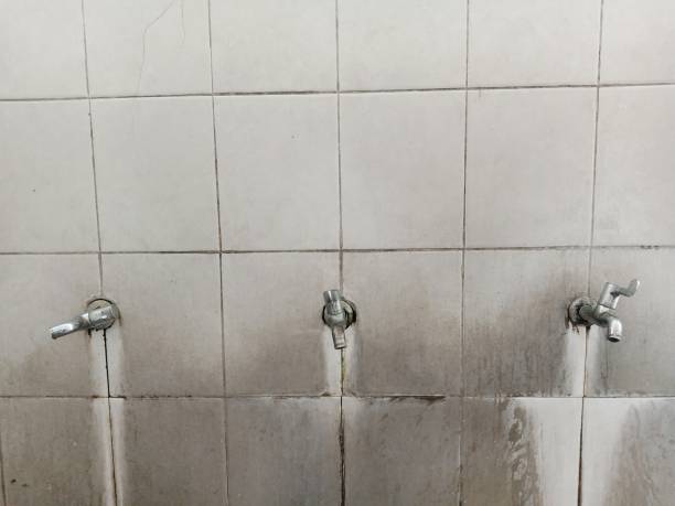 Best Ceiling water damage repair  in South Plainfield, NJ