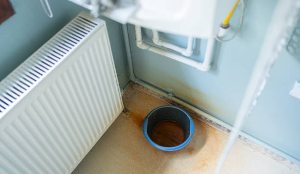 Best Mold removal after water damage  in South Plainfield, NJ