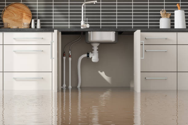 Best Sewage cleanup and water damage restoration  in South Plainfield, NJ