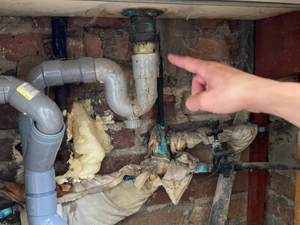 Best Ceiling water damage repair  in South Plainfield, NJ